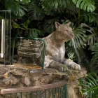 El Parque de Salus en Minas